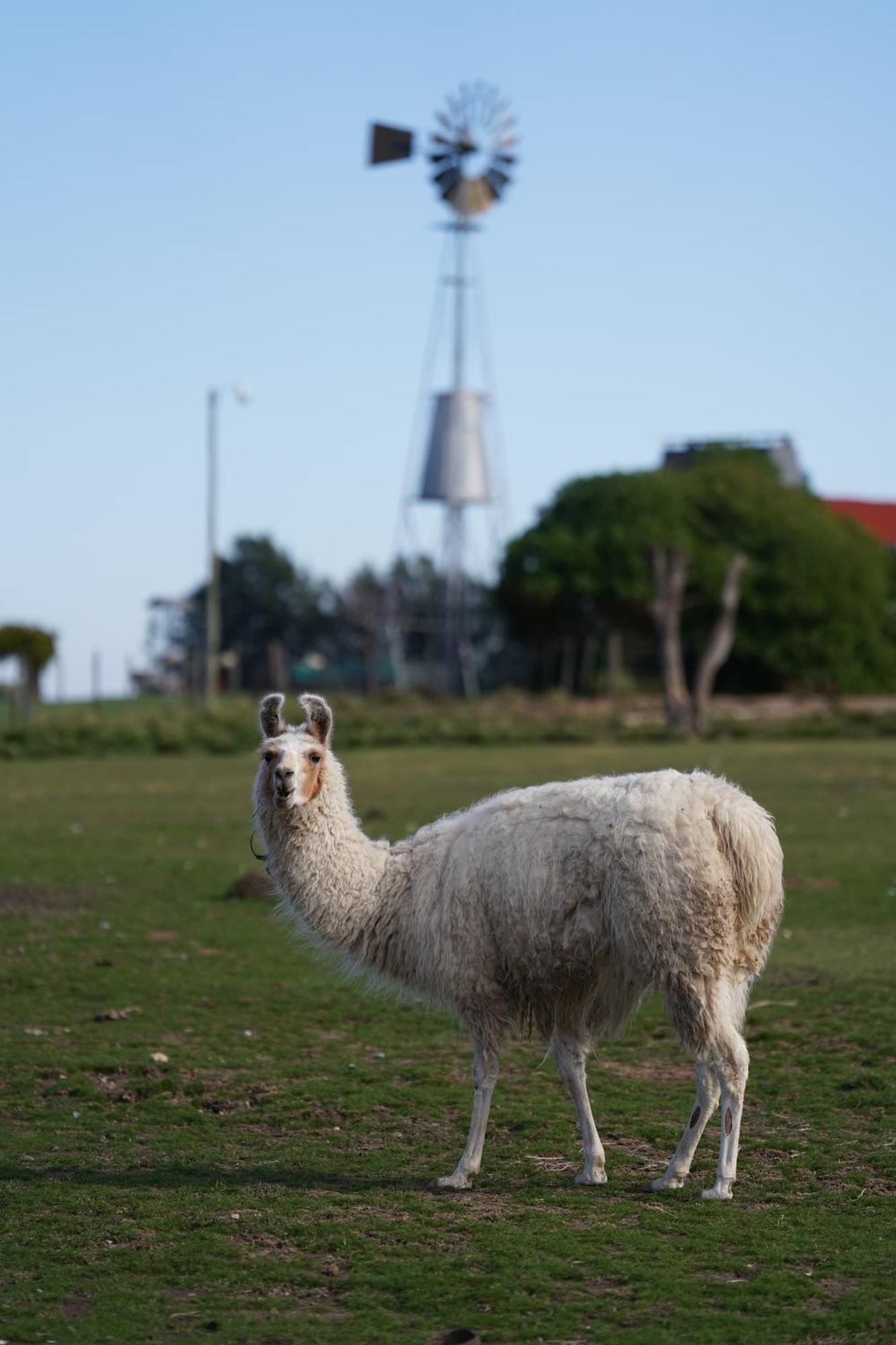 La Santina Posada & Experiencias De Campo San Pedro (Buenos Aires) Exterior foto