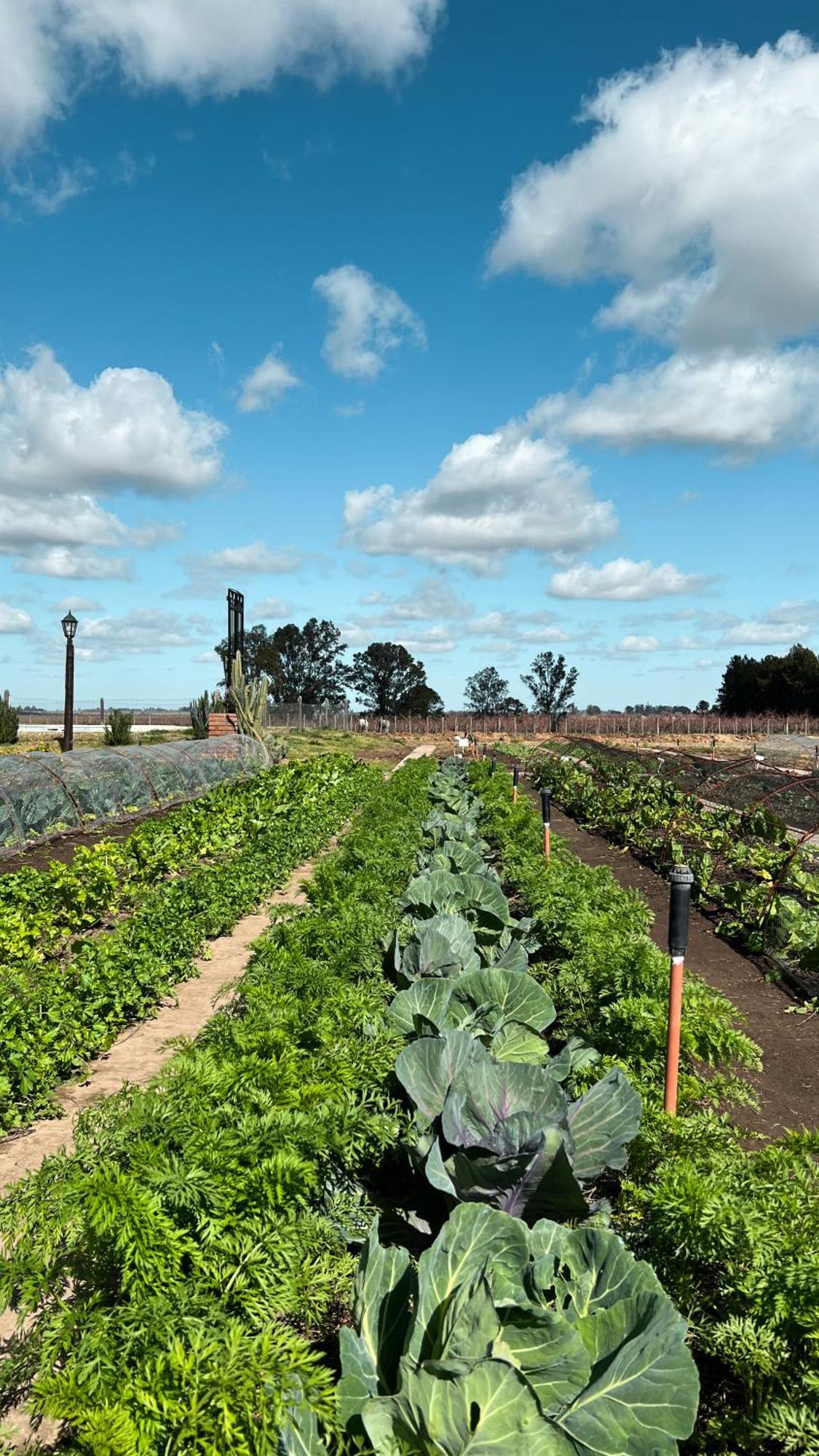 La Santina Posada & Experiencias De Campo San Pedro (Buenos Aires) Exterior foto
