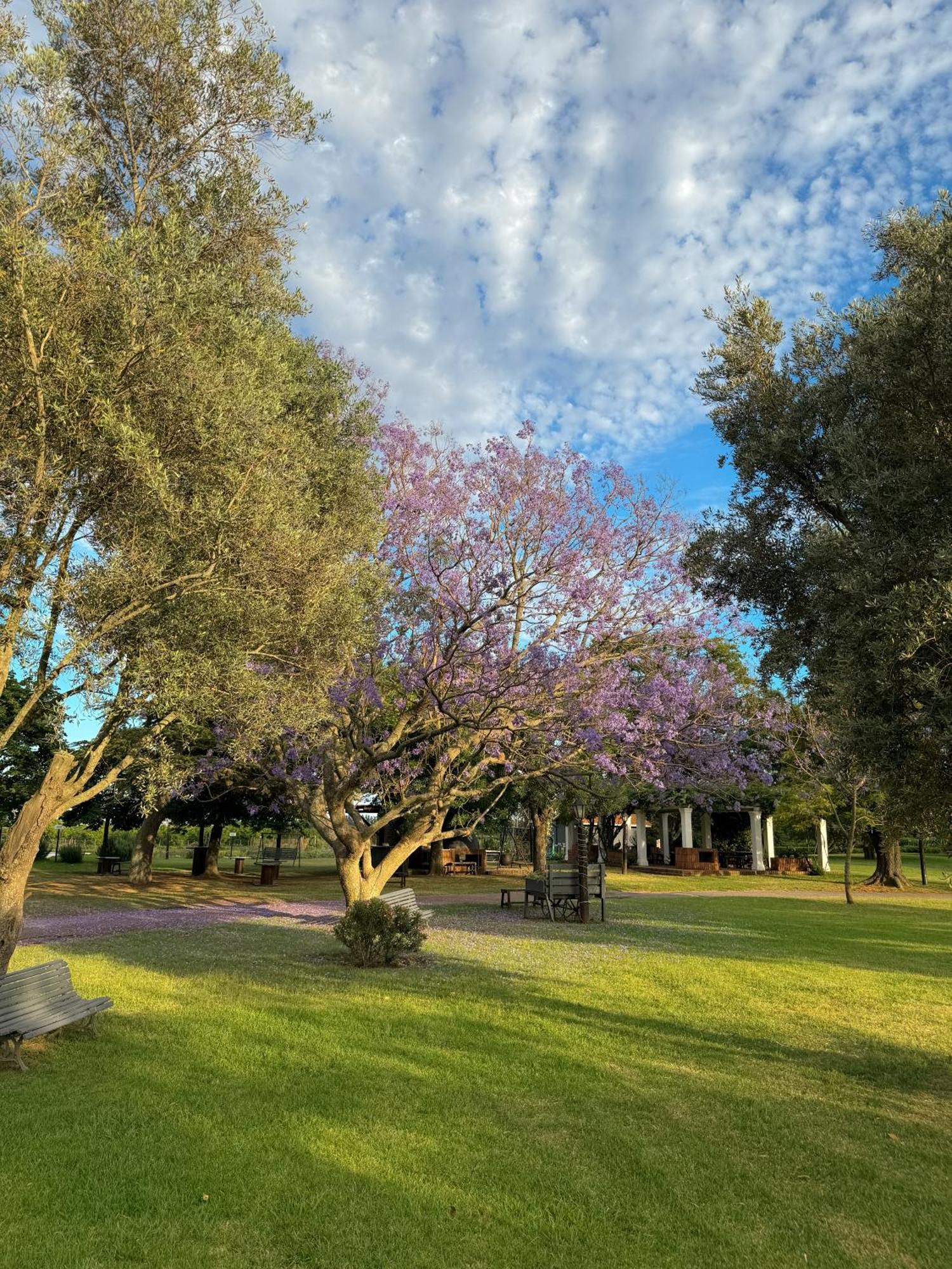 La Santina Posada & Experiencias De Campo San Pedro (Buenos Aires) Exterior foto